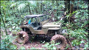 Flatty Willys - MB 1942 - V8 5.0L-img_20150926_111016518.jpg