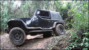 Novo na frota - Troller RF 2000-file0055-1-.jpg