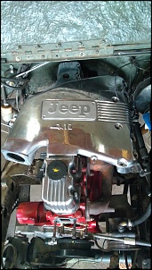 Willys - Maestro-motor_tampa_coletor.jpg