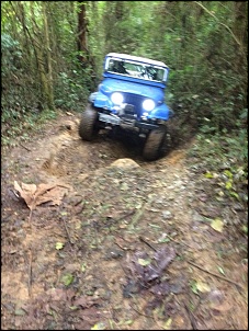 CJ-5 1966 &quot;Tsunami&quot;-whatsapp-image-2018-08-05-13.27.05-1-.jpg
