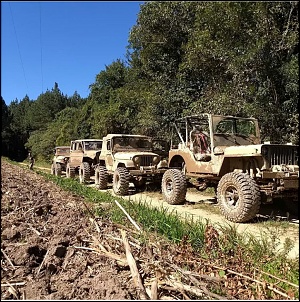 Willys - Maestro-screenshot_20180908-185552-2.jpg