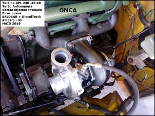 -turbo-onca-3-.jpg