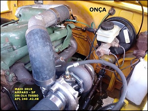 -turbo-onca-12-.jpg