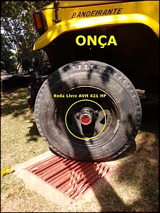-onca-avm-1-.jpg