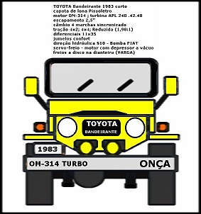 -logo-toyota-onca-1.jpg
