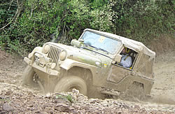 T-rex! ...:-09raidcopaserrana_165.jpg