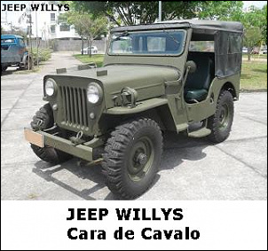 Troller t4 2005-jeep-willys-cara-de-cavalo-103.jpg