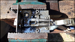 Bibi - Band curta/81-20210620_122610.jpg