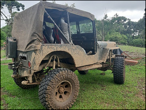 Willys - Maestro-20211107_135321_b.jpg