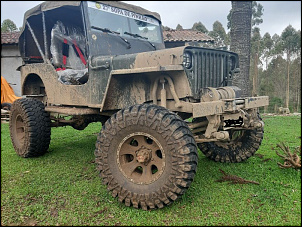 Willys - Maestro-20211107_135340_b.jpg