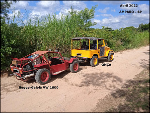 -onca-tow-rail-buggy-9-.jpg