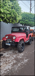 Meu jeep willys cj5 4.1-d55f7e53-5213-4c6e-ae4d-a1bc89d6a79a.jpg