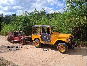-onca-tow-rail-buggy-4-.jpg