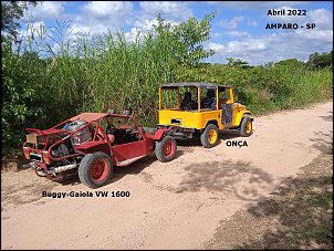 -onca-tow-rail-buggy-9-.jpg