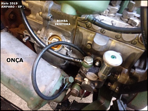-turbo-onca-16-.jpg