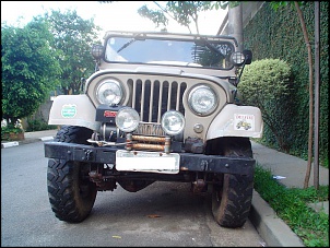 Jeep Ford 73 - &quot;Tazmanian Devil&quot;-j27.jpg