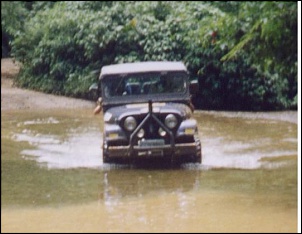 CJ 5 /74  &quot;Coyote&quot;-jeep22_992.jpg
