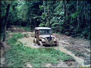 CJ 5 /74  &quot;Coyote&quot;-dsci0002_50.jpg