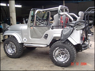 PRATEADO - CJ5 Diesel-jeep_capota_baixa__2_166.jpg