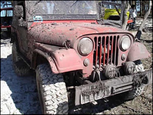Gaiola e jeep willys 1970-foto30.jpg