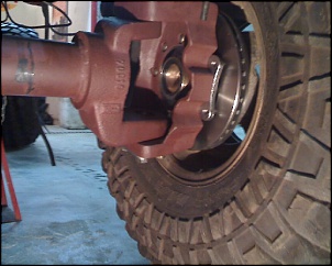 Raptor Crawling-raptor_rba.jpg