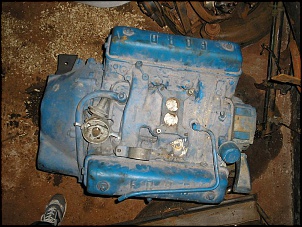 Pickup Willys 1966 - V8 272-p5260002.jpg