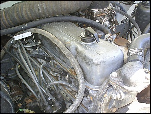 Engesa F2 - Boi-foto0015_177.jpg