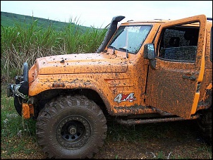 Troller &quot;Atomic Orange&quot;-100_9303-large-.jpg