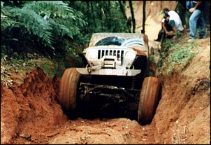 Jeep Wrangler - Hulk-camel29.jpg