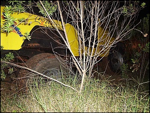 Cj5 1973 amarelo - Quindim-imagem-125.jpg