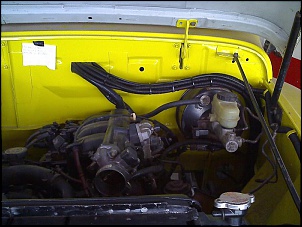 Bica - Willys F75 V6 4.0-29-10-07_1812.jpg