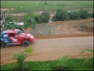 Fusca-cross-fusca-centromel.jpg