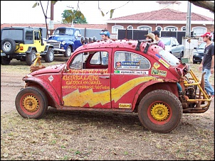 fusca-100_1838.jpg