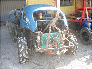 Baja novo na familia!-dsc02005.jpg