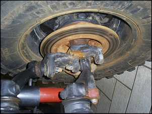 bycolella montada e modificada em casa-s5032668.jpg