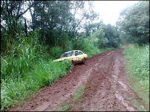 -30052009131.jpg