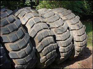Qual seria o pneu ideal para gaiola?-mvc-005s.jpg
