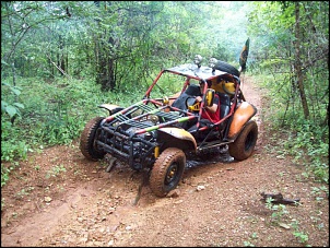 &quot;A gaiola perfeita&quot;-de-frente-01.jpg