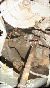 -s73f6994.jpg