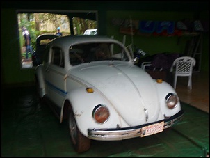 Gaiola &quot;Frenk&quot;-p1050726.jpg
