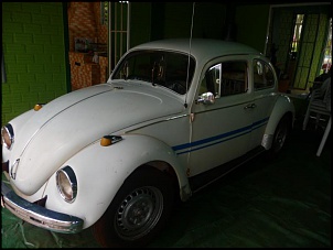 Gaiola &quot;Frenk&quot;-p1050727.jpg