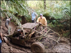 Fotos das gaiolas do pessoal do forum!-dfd.jpg