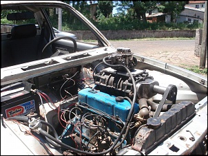 Gaiola 4cc opala-dsc01023.jpg