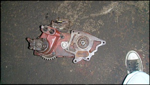 gaiola mudzilla 4x4-dsc00094.jpg