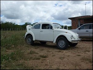 Iniciando projeto Fusca off road-sdc10228.jpg