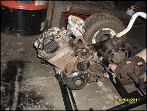 Meu buggy Fapinha-sam_2024.jpg
