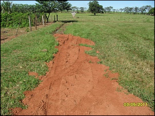 Meu buggy Fapinha-sam_2063.jpg