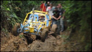 Fotos das gaiolas do pessoal do forum!-trilha-nova-russia-25-.jpg