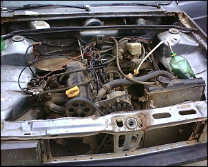gaiola &quot;THE RUST&quot;-img0126a.jpg