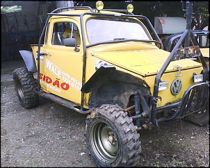 Mini gaiola-dsc-0000665.jpg